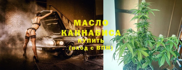 индика Абдулино