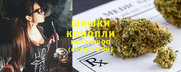 ПСИЛОЦИБИНОВЫЕ ГРИБЫ Абаза