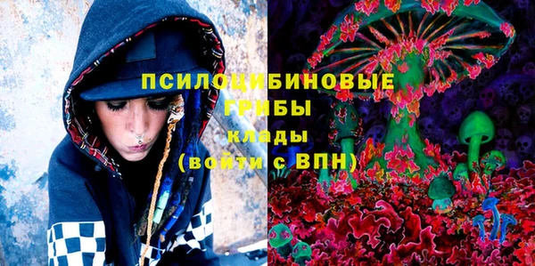 ПСИЛОЦИБИНОВЫЕ ГРИБЫ Абаза