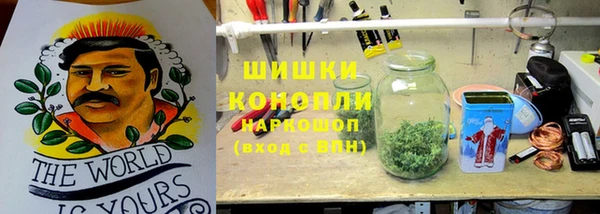индика Абдулино